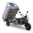 Xe Điện 3 Bánh Chở Hàng Inox 500KG